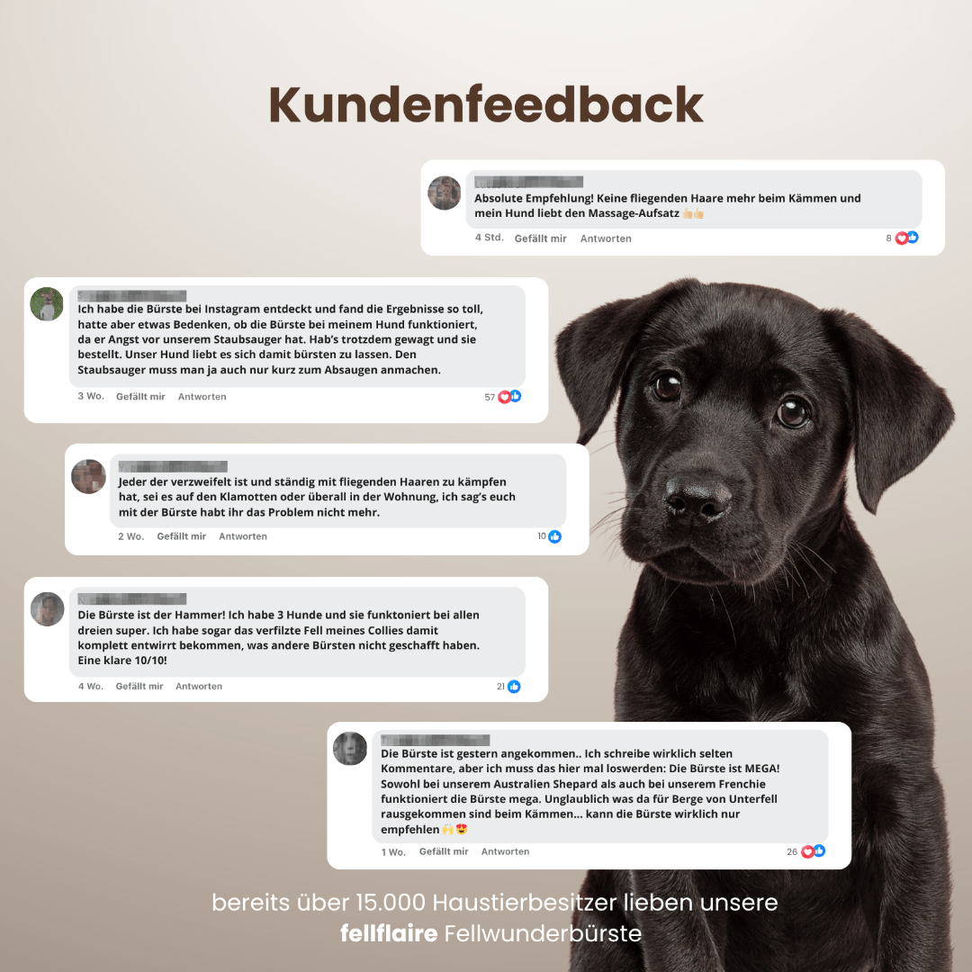 Fellwunderbürste